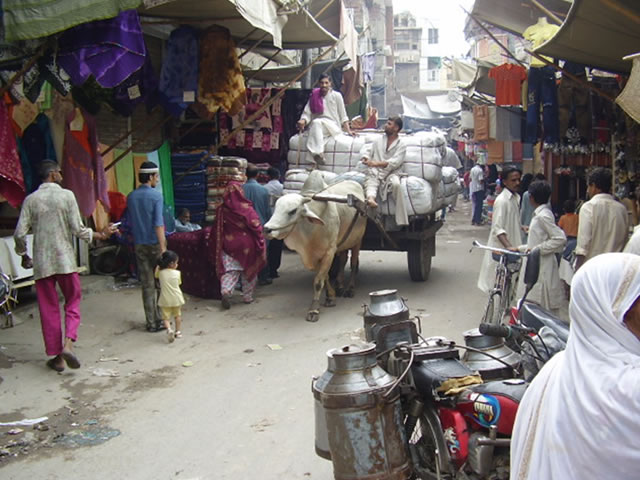 pakistan2010a